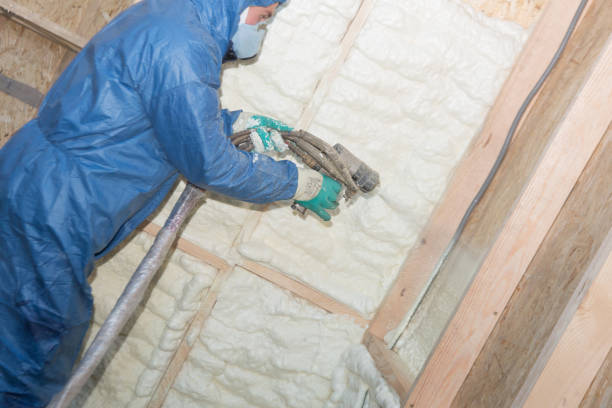 Best Eco-Friendly or Green Insulation Solutions  in Poulsbo, WA